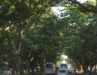 Lolo 221.jpg
